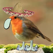 Robin Pogadl