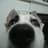Xabi Nunez