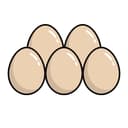 Five Eggs Racing Team 2 Eggs