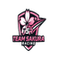 Sakura Racing 2026 IV