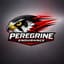 Peregrine Endurance Racing
