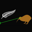 Lazer Kiwi