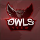 Owls Team 5