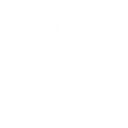 Nova RT Nova