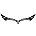 Bregoli eSports