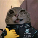 HOT DDONGO RACING ENDURANCE